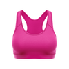 Joule Sports Bra
