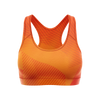 Joule Sports Bra
