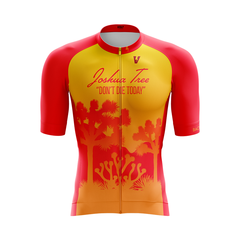 Palm Springs & Joshua Tree