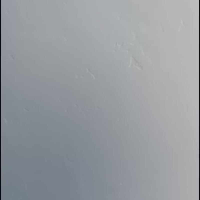 Ion Droptail Bib Shorts